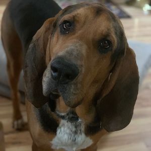 Meet your Posher, Mark